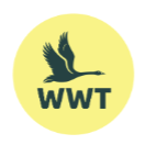 WWT